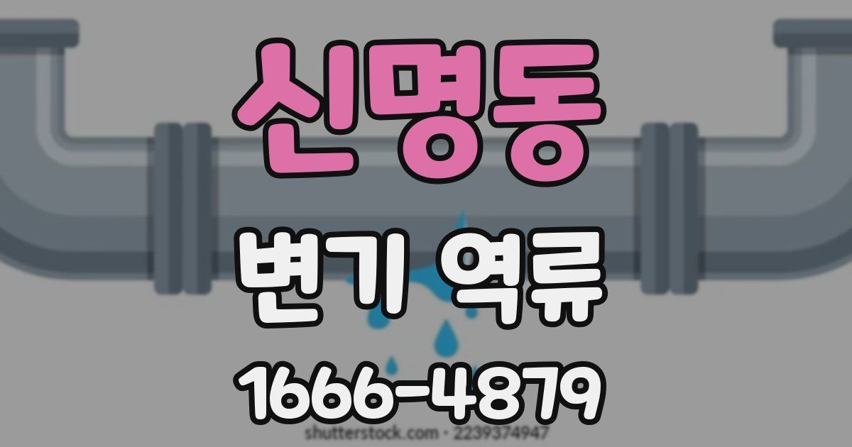 신명동 변기 역류