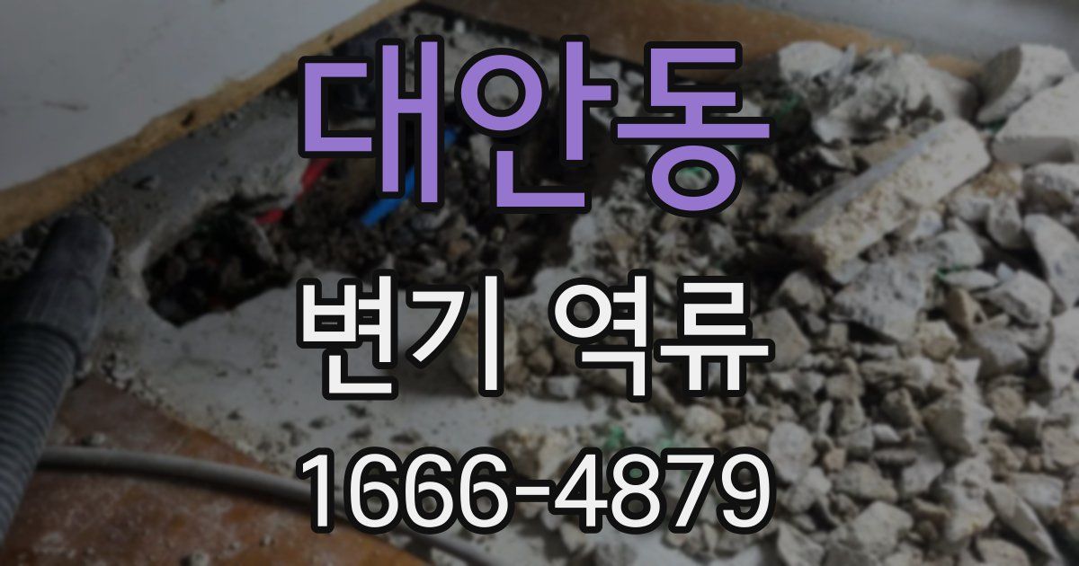대안동 변기 역류