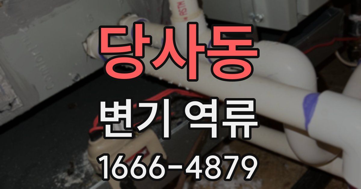 당사동 변기 역류