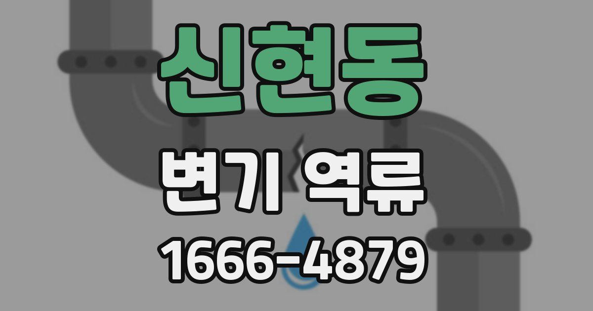 신현동 변기 역류