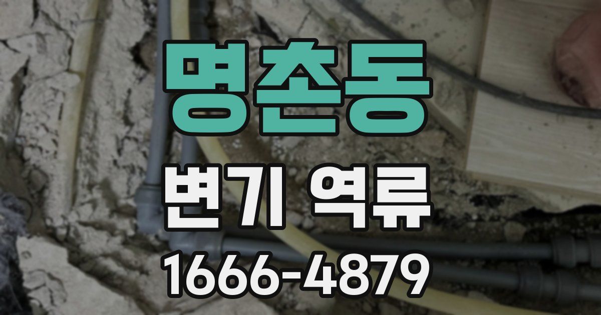 명촌동 변기 역류