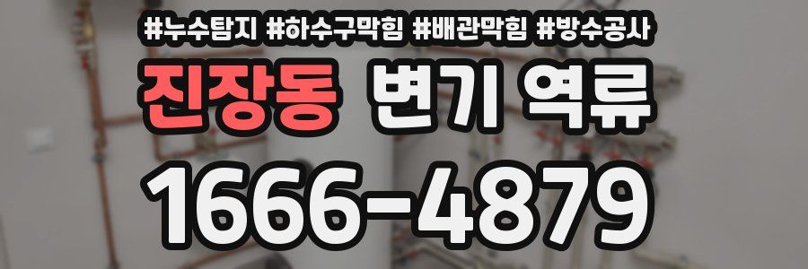 진장동 변기 역류