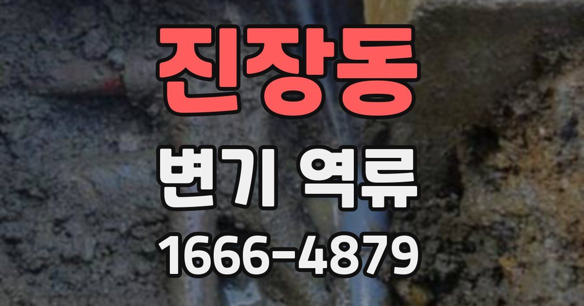 진장동 변기 역류
