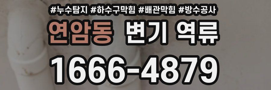 연암동 변기 역류
