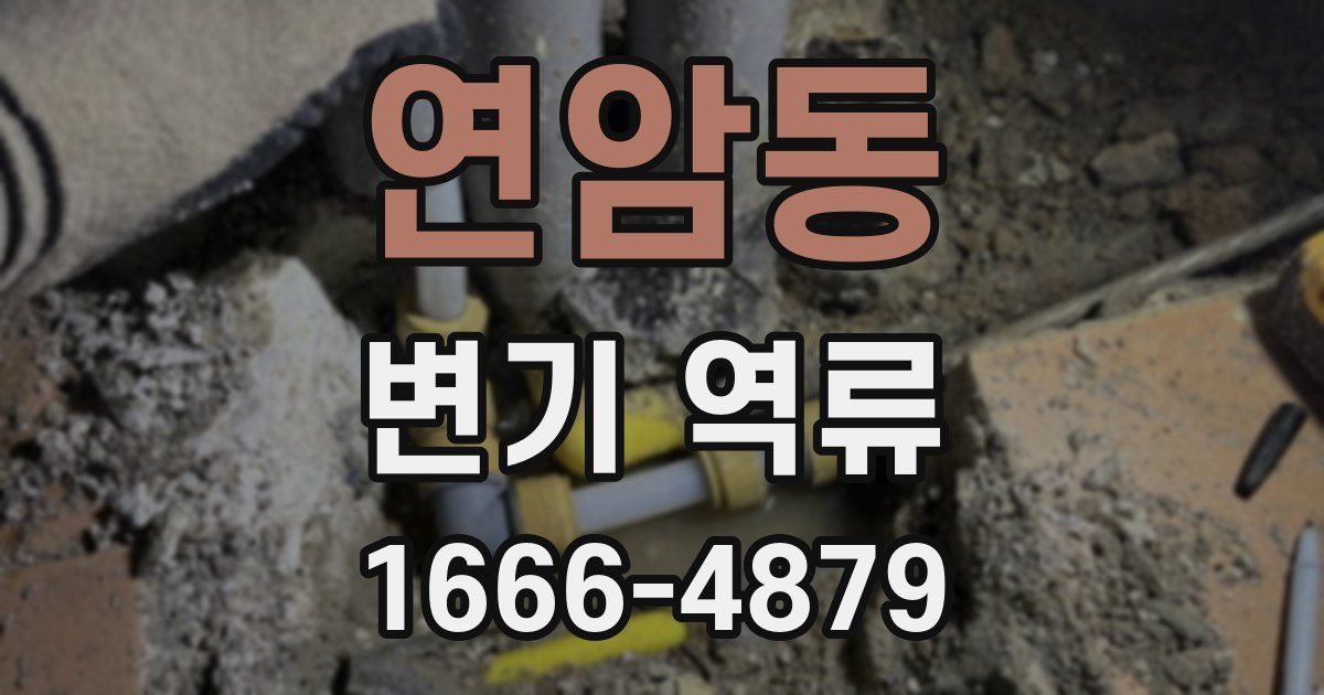 연암동 변기 역류