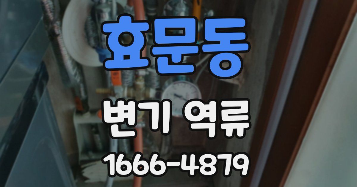 효문동 변기 역류