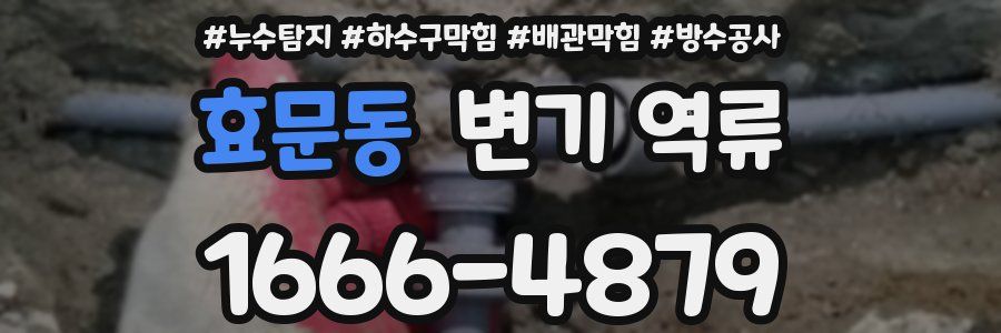효문동 변기 역류