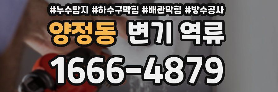 양정동 변기 역류