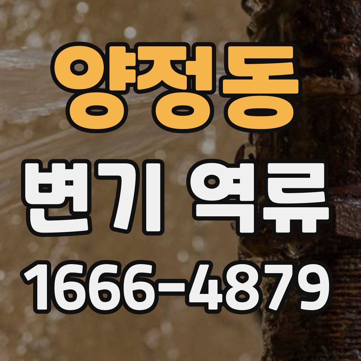 양정동 변기 역류