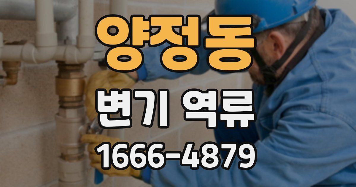 양정동 변기 역류