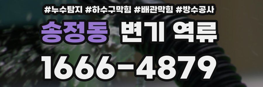 송정동 변기 역류