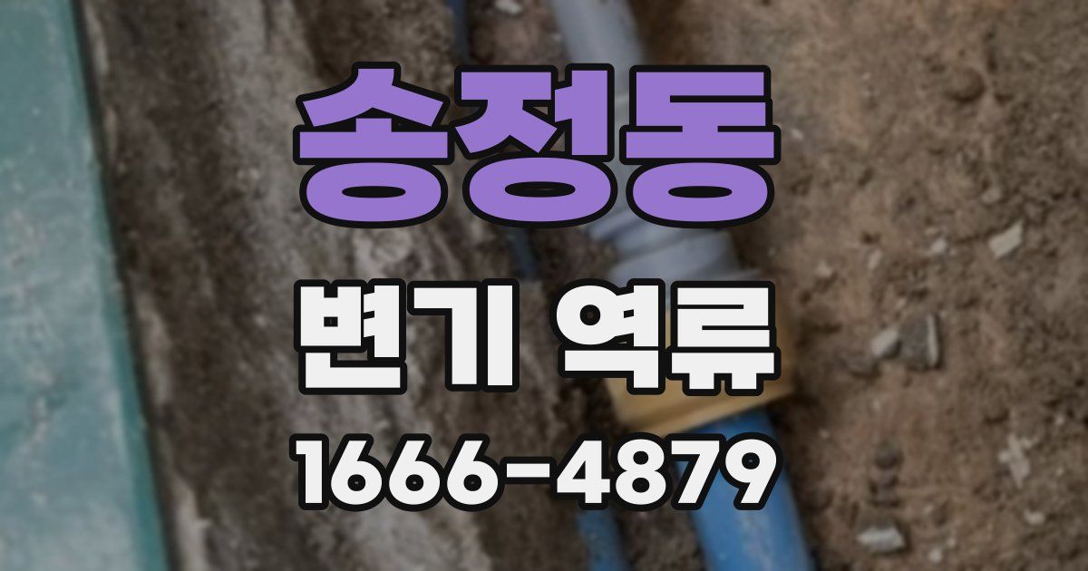 송정동 변기 역류