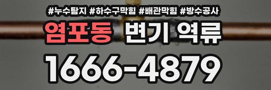 염포동 변기 역류