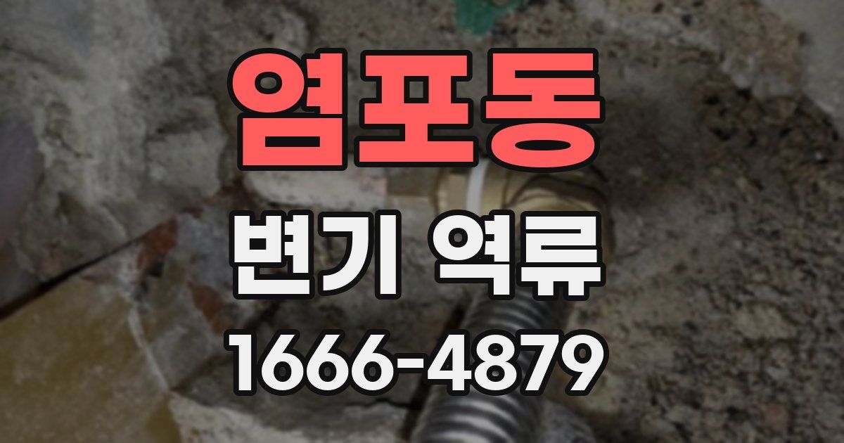 염포동 변기 역류