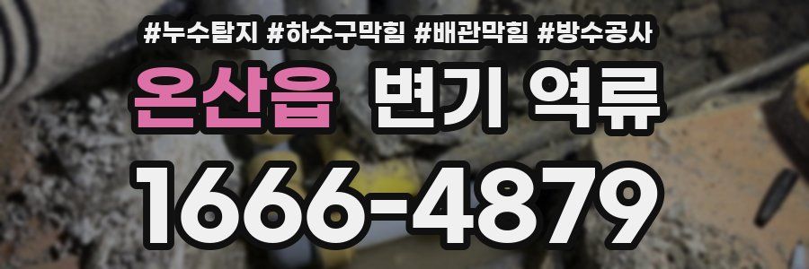 온산읍 변기 역류
