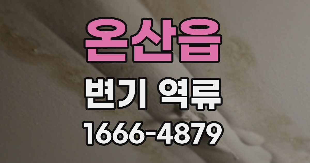 온산읍 변기 역류