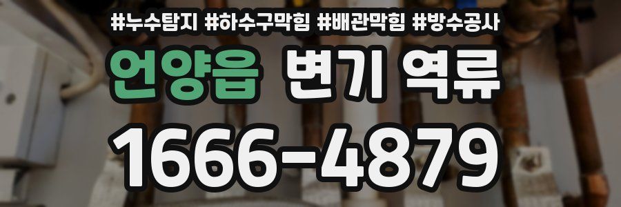 언양읍 변기 역류