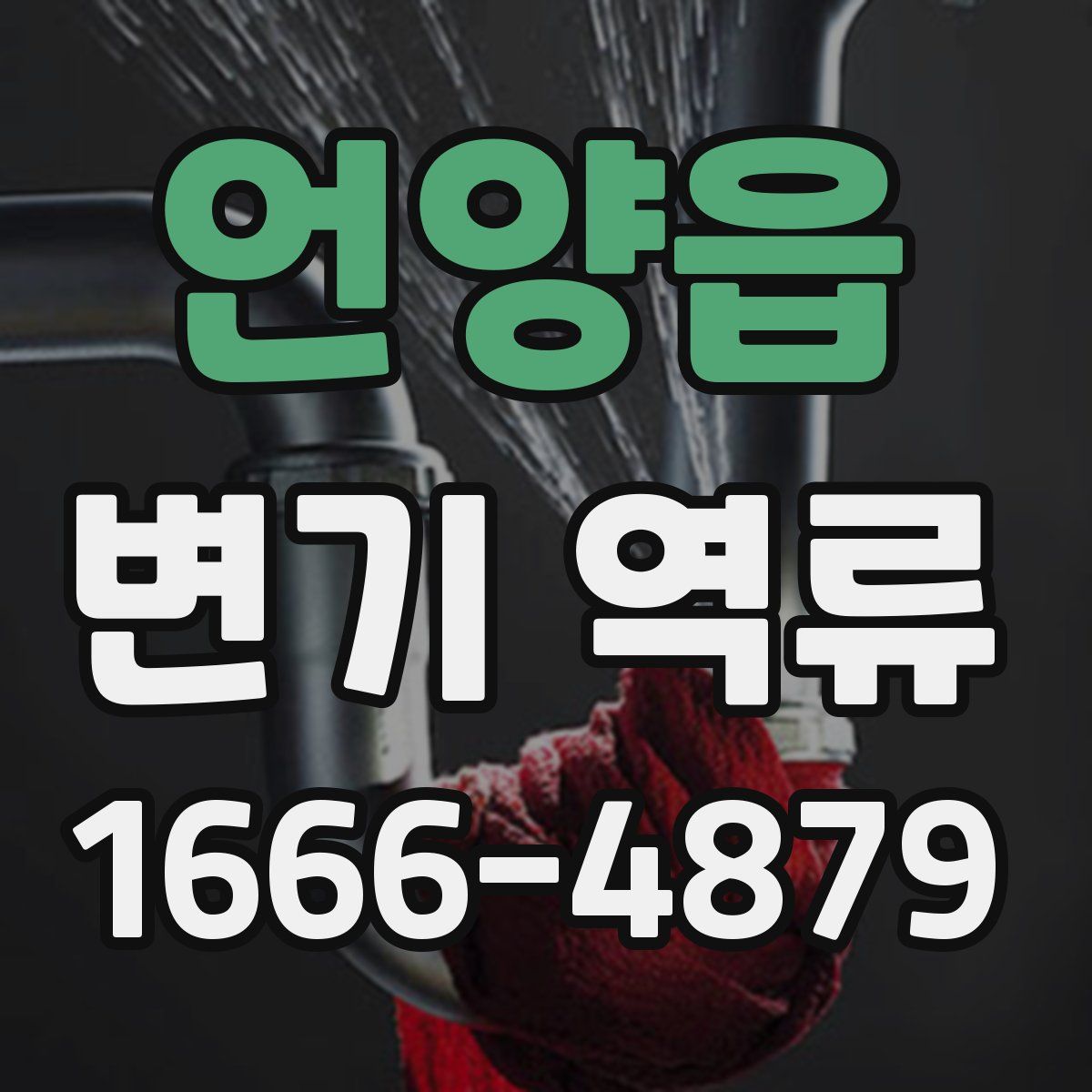 언양읍 변기 역류