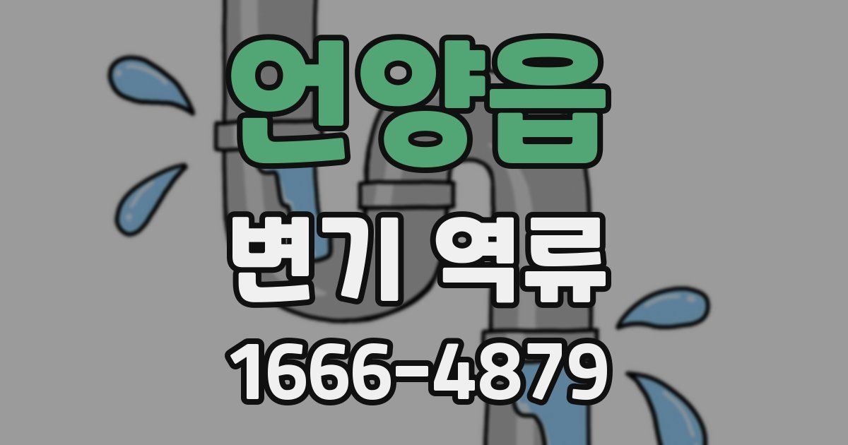 언양읍 변기 역류