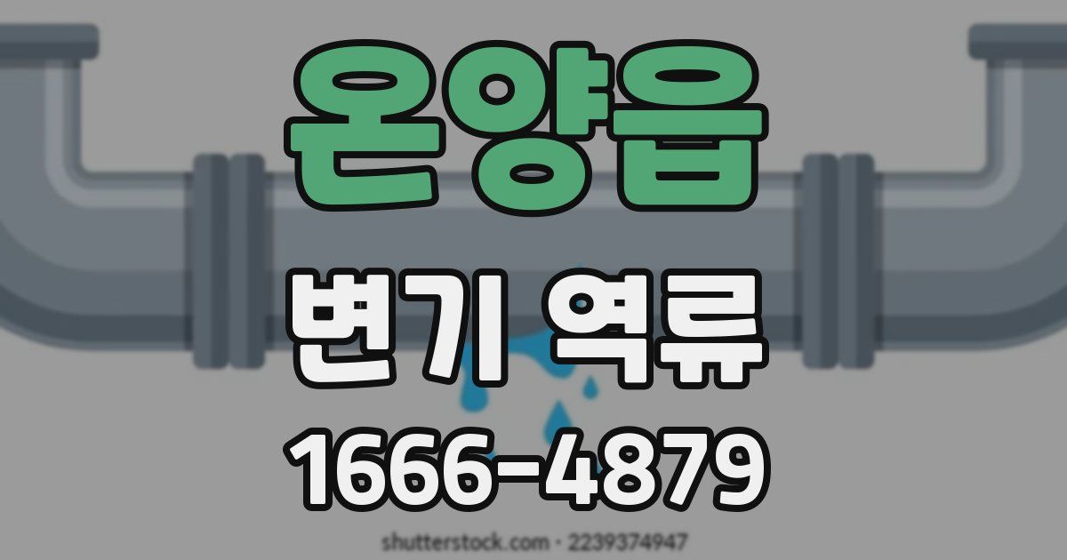 온양읍 변기 역류