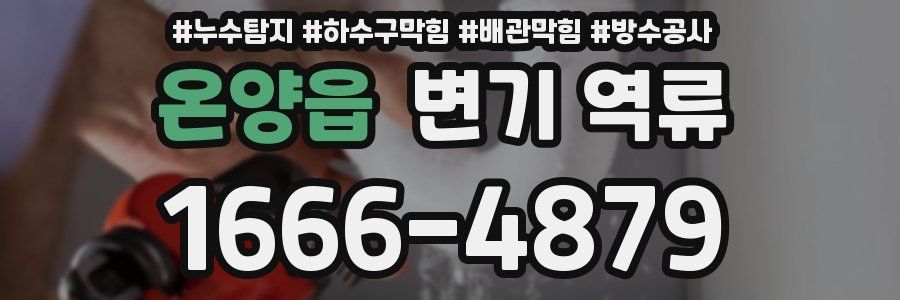 온양읍 변기 역류