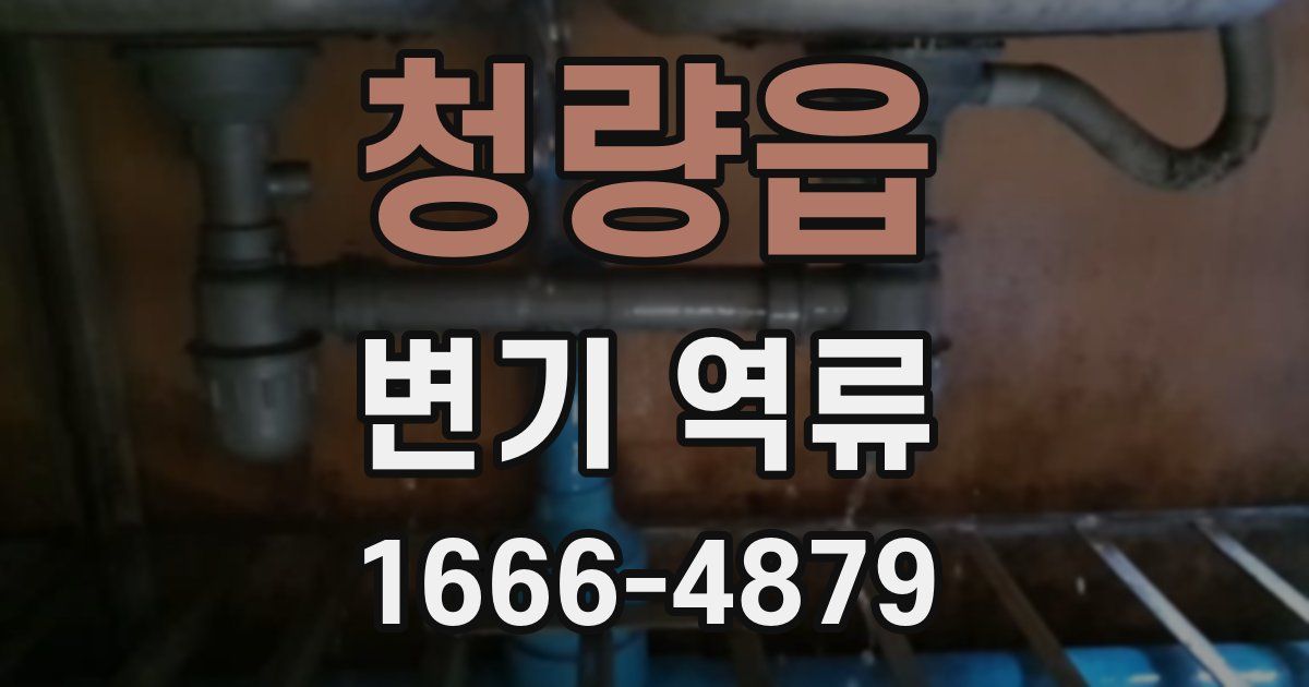 청량읍 변기 역류
