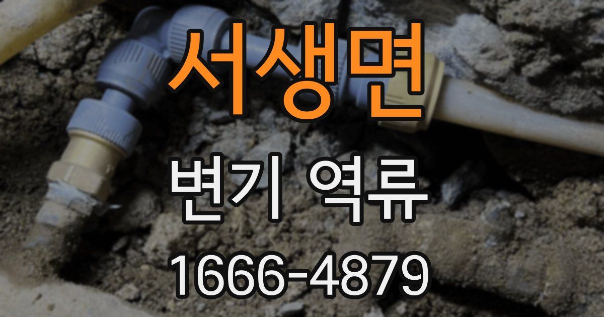 서생면 변기 역류