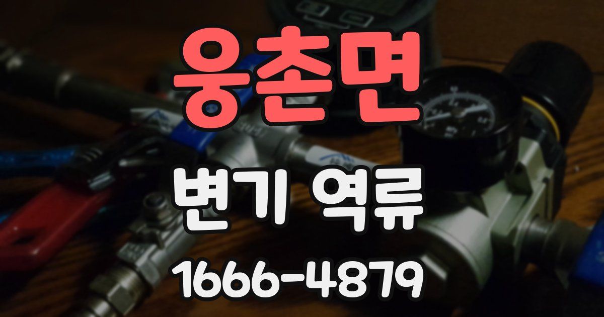 웅촌면 변기 역류