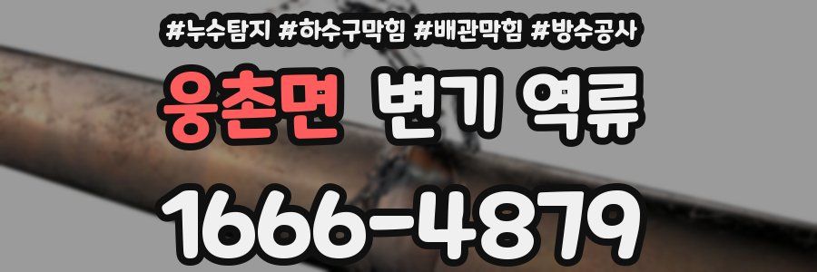 웅촌면 변기 역류