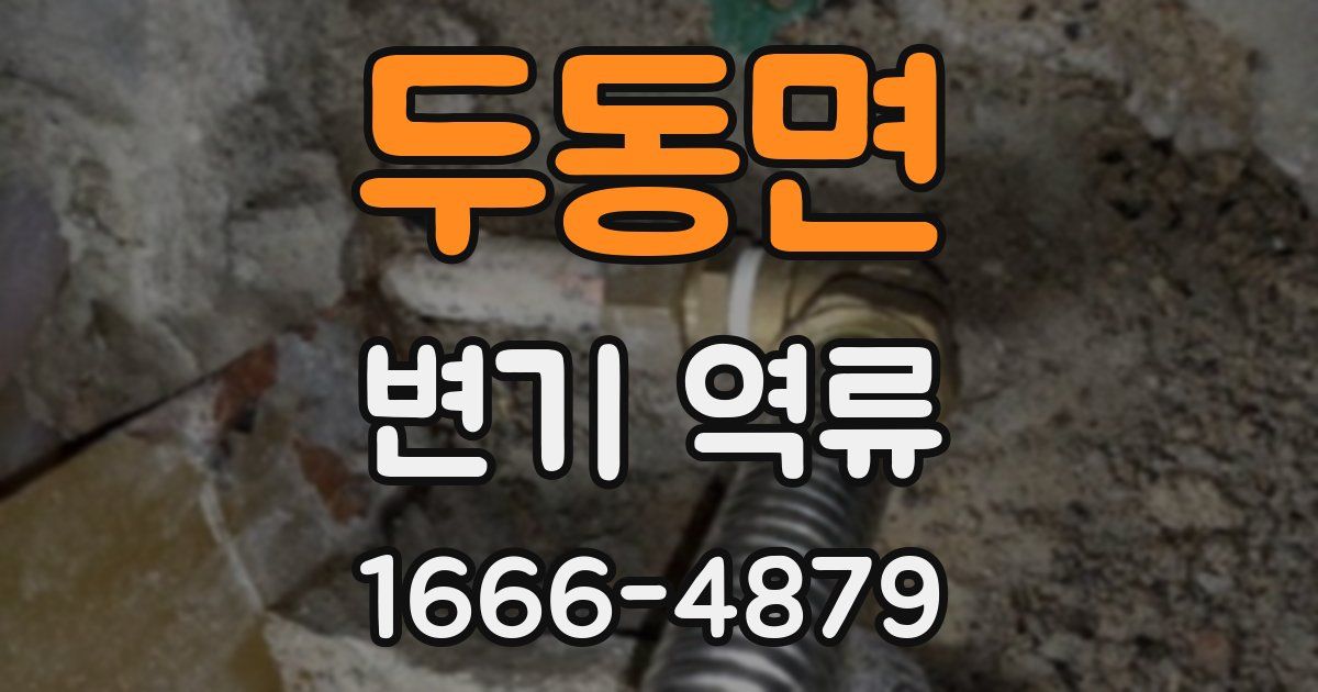 두동면 변기 역류