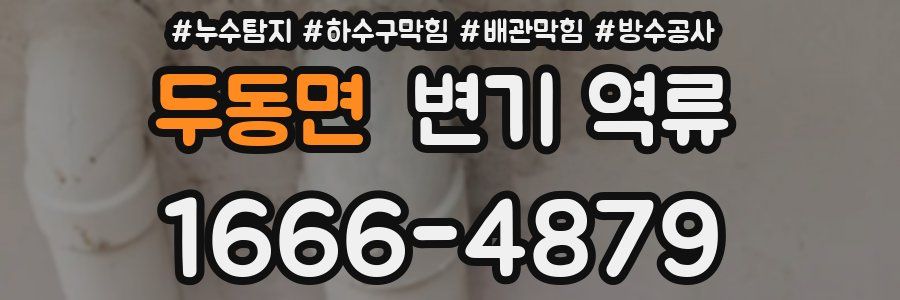 두동면 변기 역류