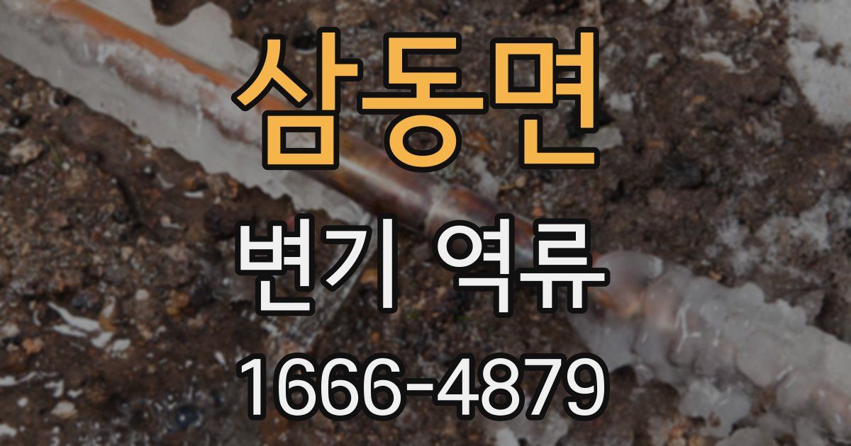 삼동면 변기 역류