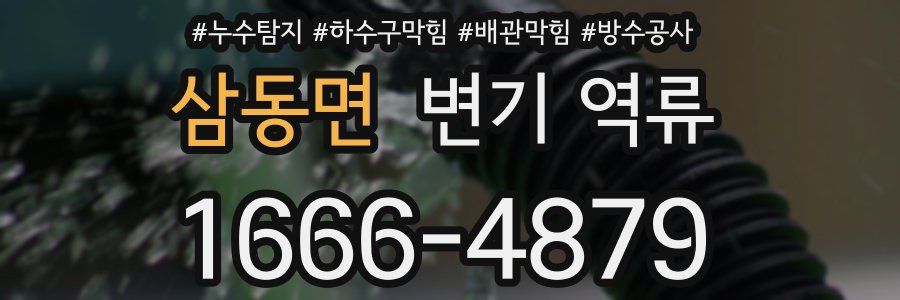 삼동면 변기 역류