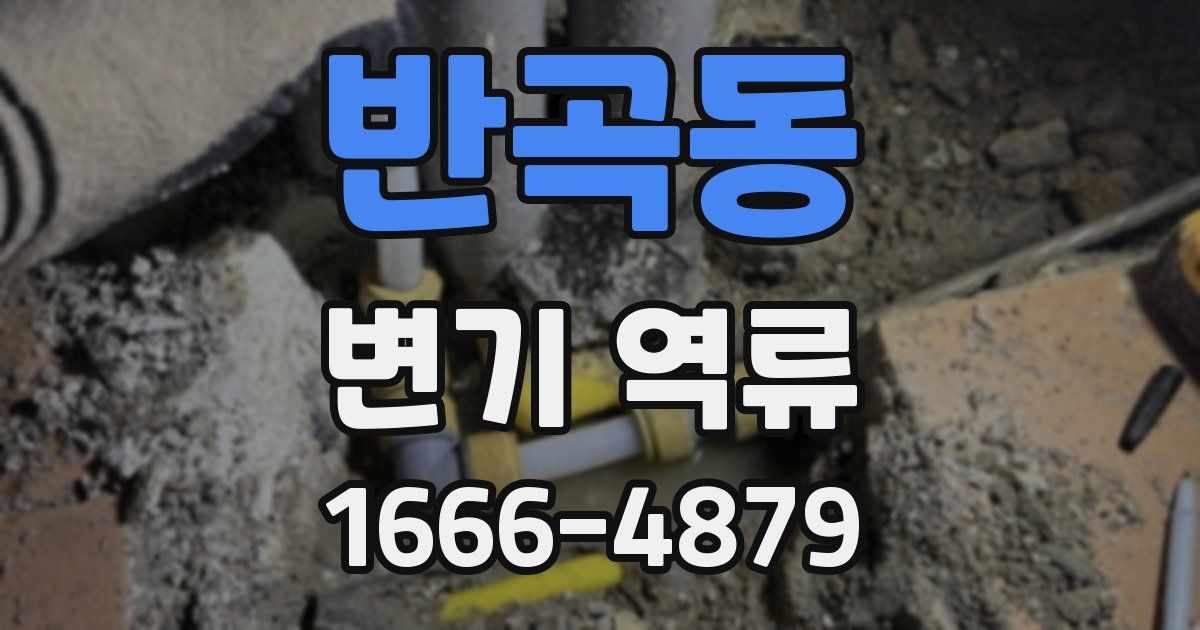 반곡동 변기 역류