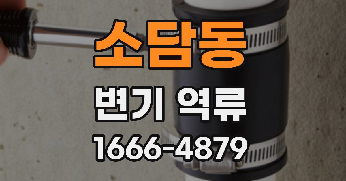 소담동 변기 역류