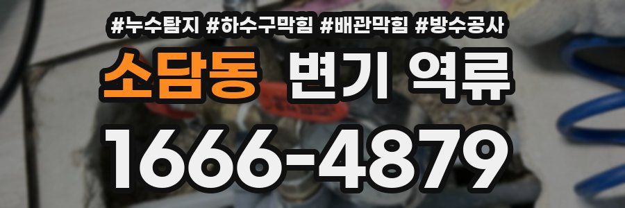 소담동 변기 역류
