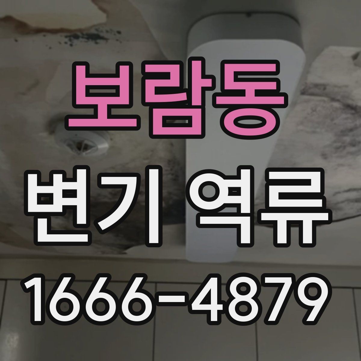 보람동 변기 역류 예방을 위한 화장실 사용 습관
