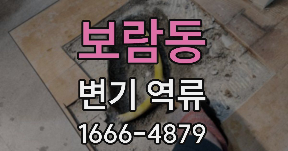 보람동 변기 역류