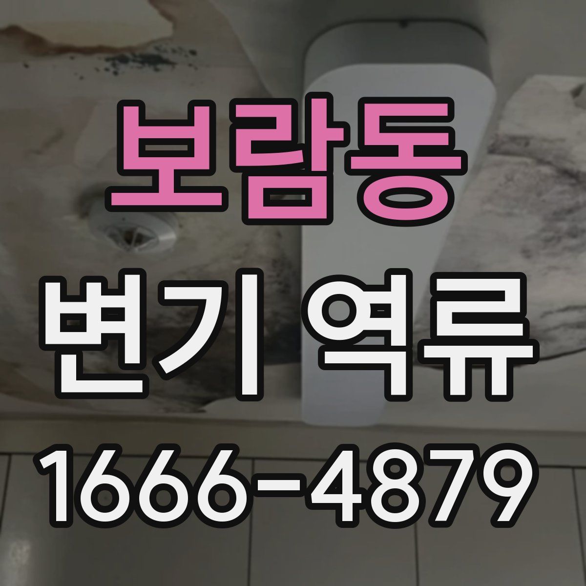 보람동 변기 역류