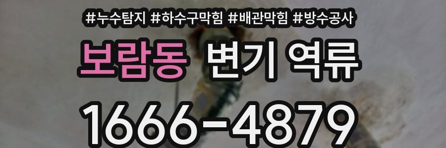 보람동 변기 역류