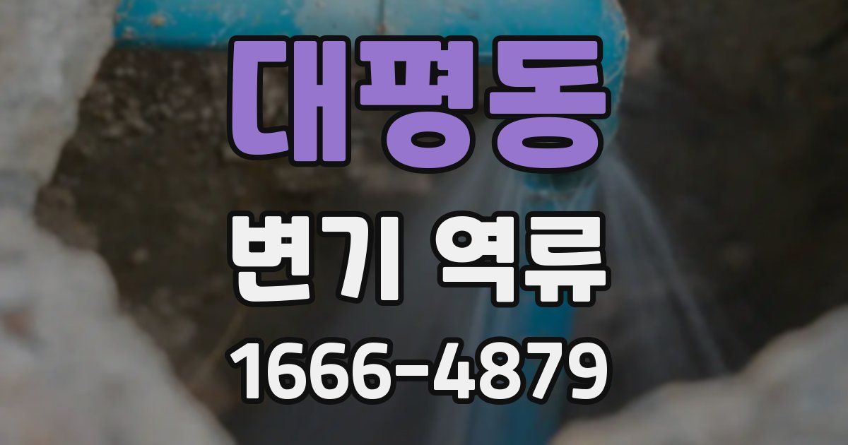 대평동 변기 역류