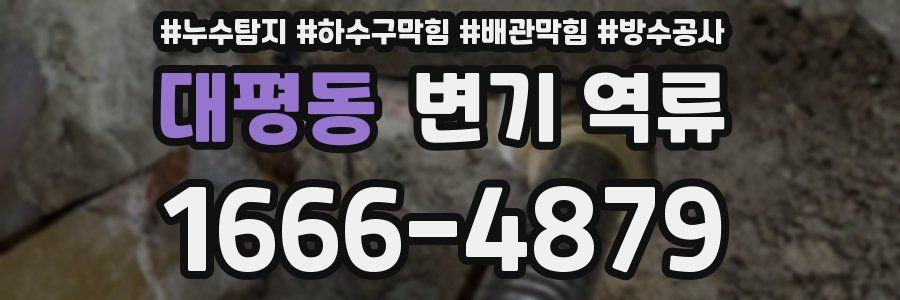 대평동 변기 역류