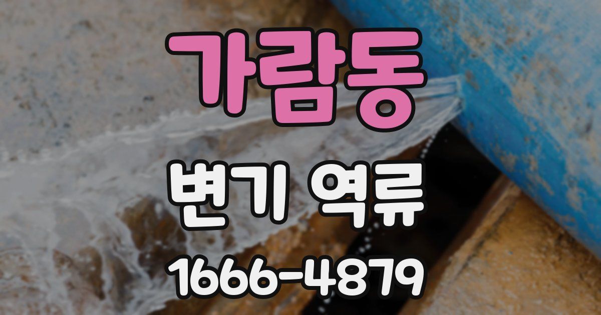 가람동 변기 역류