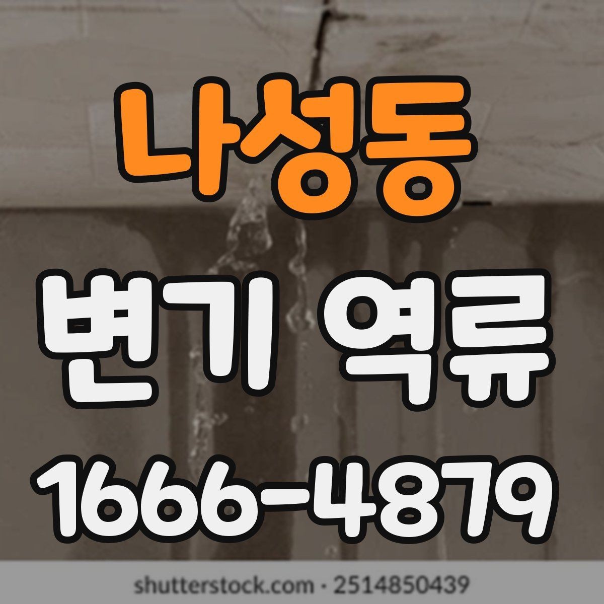 나성동 변기 역류 물 높이가 들쑥날쑥할 때 체크할 항목