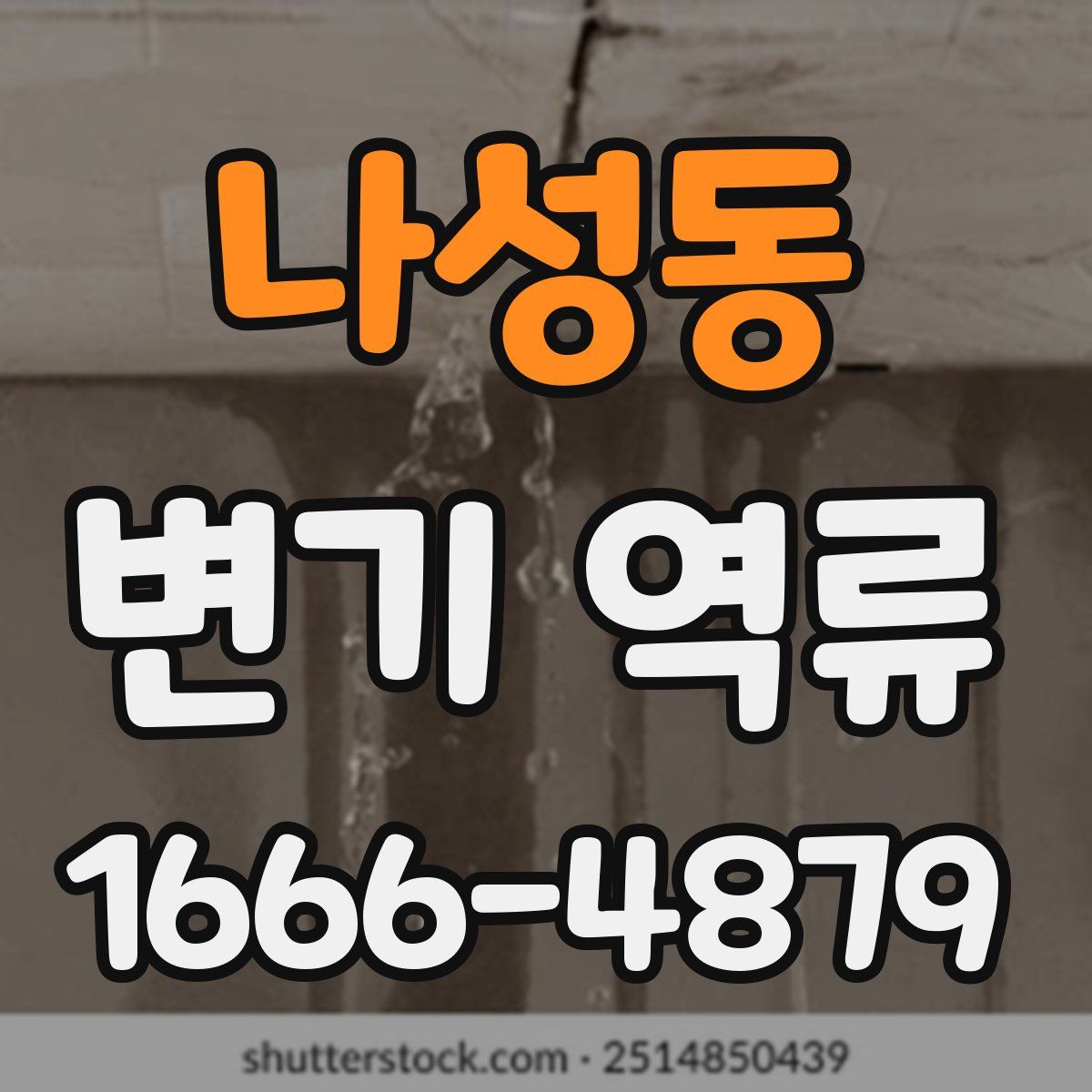 나성동 변기 역류