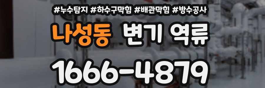나성동 변기 역류