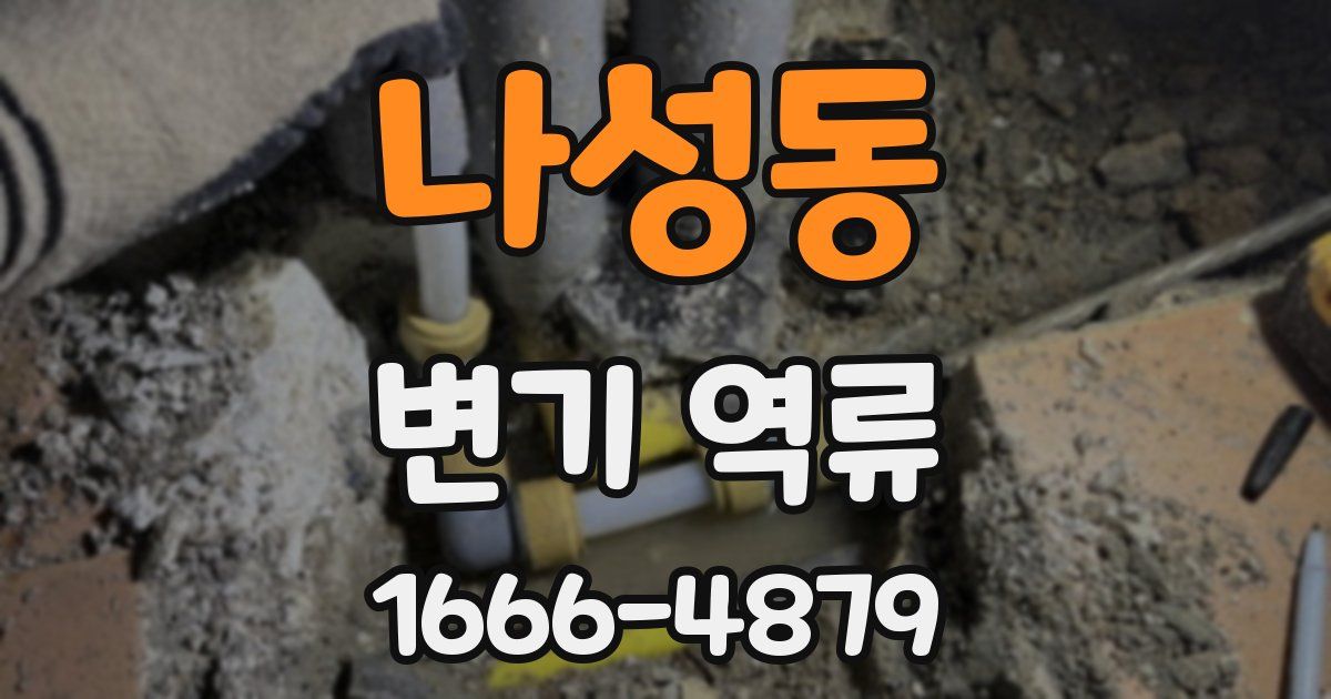 나성동 변기 역류