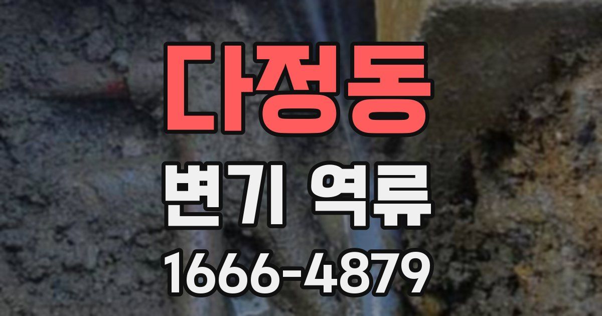다정동 변기 역류