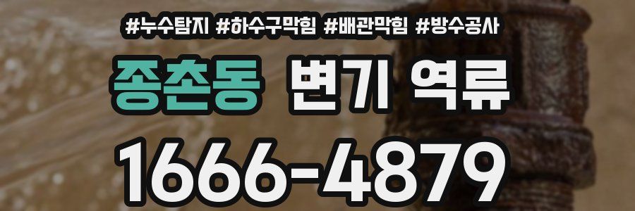 종촌동 변기 역류