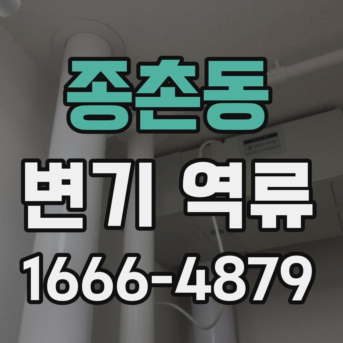 종촌동 변기 역류